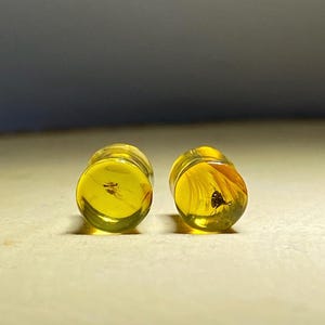 Puede incluir: Dos tapones de ámbar amarillo con insectos encapsulados en su interior. Los tapones son cilíndricos y transparentes, mostrando los insectos preservados. El fondo es beige neutro, con un degradado de gris y blanco.
