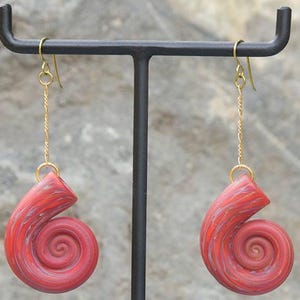 Gorilla Glass - Venus Seashell and Nautilus Earrings