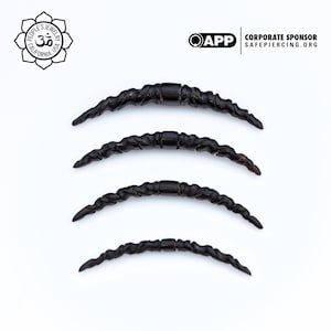 Peoples Jewelry - Carved Horn Tusks - Unicorn - Priced per piece.