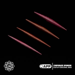 Peoples Jewelry - Piercing para tabique con punta de madera de sangre oscura - Precio por pieza.