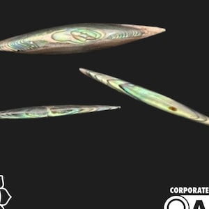 People's Jewelry - Abalone Shell Spikes