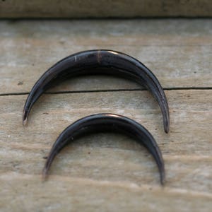 Peoples Jewelry - Buffalo Horn Septum Tusks - priced per piece.