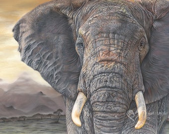 Wildlife Art Limited Edition Print - Tembo