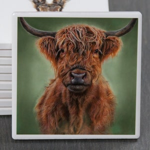 Highland Cow Coaster - Wildlife Art Coaster