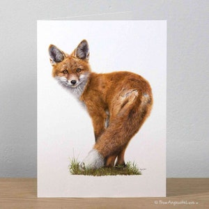 Fox card - Fox Greeting Card