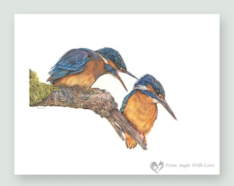 King Fishers Limited Edition Print - Domestic Bliss