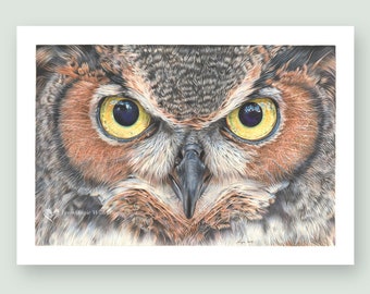 Wildlife Art Limited Edition Print - A Thousand Yard Stare