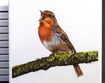 Robin coaster, Wildlife coaster, Ceramic Coaster, bird coaster, Robin gift, Robin present, Robin mat, Garden bird gift, bird gift,