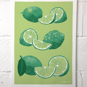 Limes a3 art print by illustrator Tom Jay