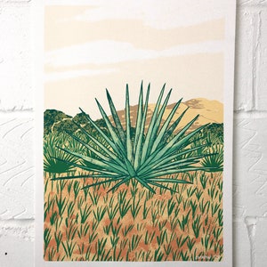Espadin plant illustration A3 giclee print by illustrator Tom Jay
