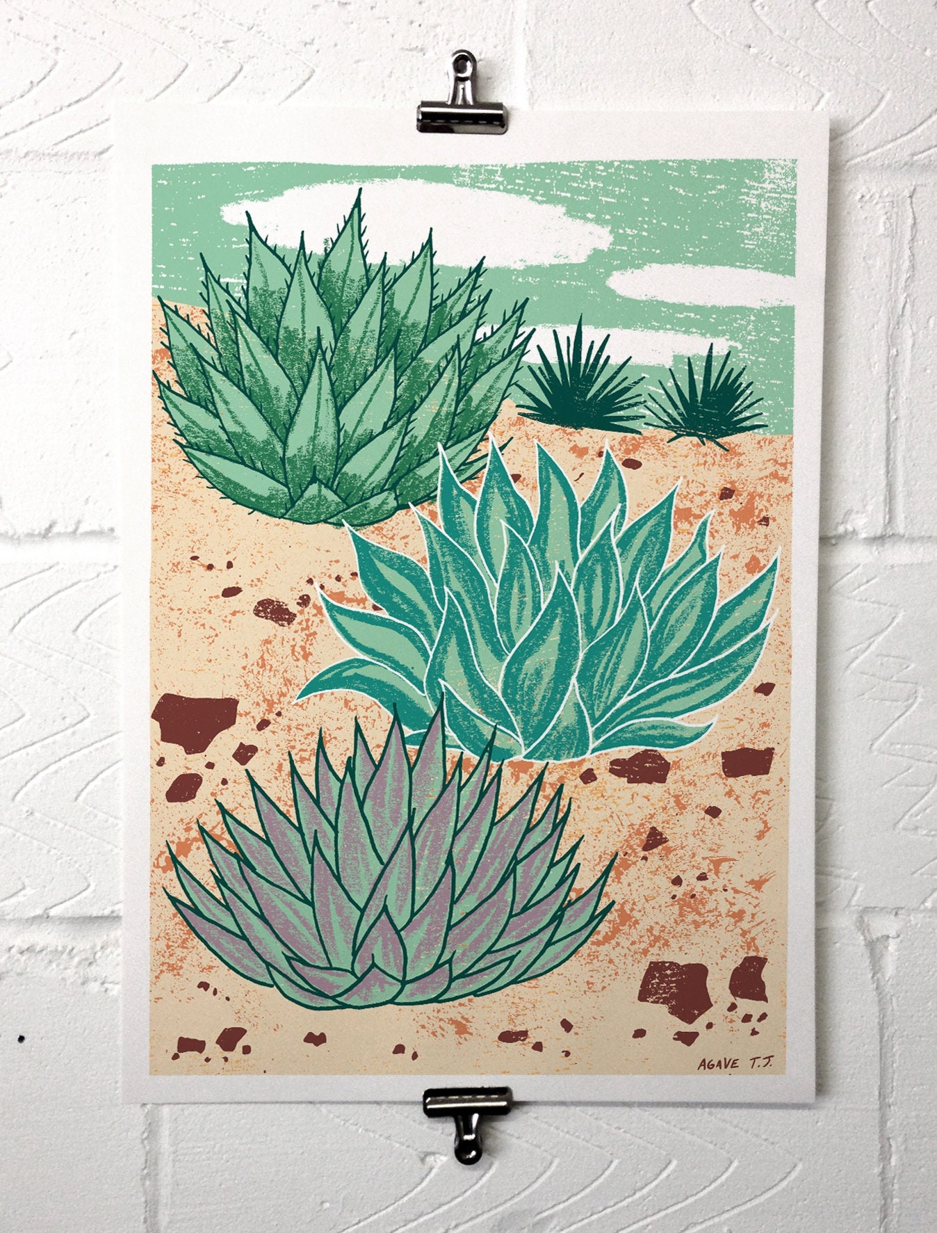 Agave Plants A3 Art Print by Illustrator Tom Jay. Illustration of
