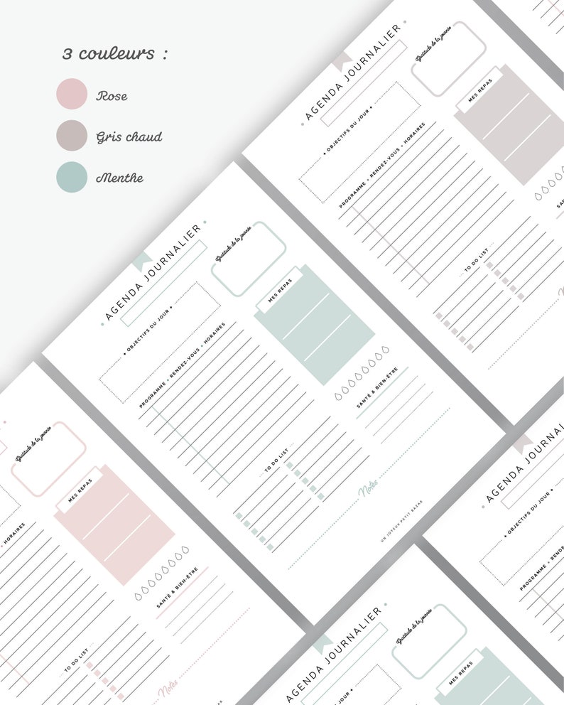 Agenda journalier non daté à imprimer, PDF éditable pour recharge planner A5 ou A4 en français, 3 coloris inclus : rose, menthe et gris image 5