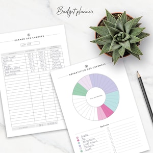 May include: A printable budget planner worksheet with a chart for tracking monthly and annual expenses. The worksheet includes a pie chart for visualizing spending categories. The categories include: taxes, water, food, mortgage, electricity, and gas.