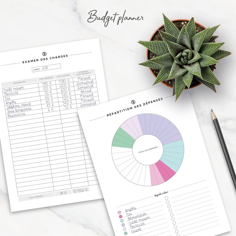 May include: A printable budget planner worksheet with a chart for tracking monthly and annual expenses. The worksheet includes a pie chart for visualizing spending categories. The categories include: taxes, water, food, mortgage, electricity, and gas.