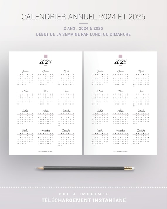 Printable 2024 and 2025 Annual Calendar, Refill to Print in French for  Planner A5 and A4 Format, Notes Page for Annual Overview 