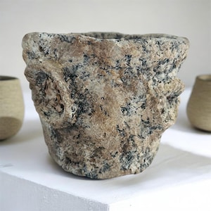 May include: A textured, stone-like planter with a rugged, uneven surface featuring mottled shades of beige, brown, and black. The vessel has a wide, open top and prominent, circular protrusions on its sides, creating a raw, organic appearance.