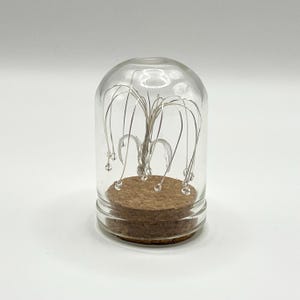Puede incluir: Una campana de cristal transparente con base de corcho alberga un árbol de alambre plateado en miniatura con pequeñas luces. La cúpula de cristal se asienta sobre una base redonda de corcho. Las luces están dispuestas para parecerse a un sauce llorón.