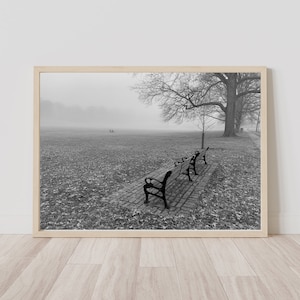Solitude on a Cloudy Day Black and White Photo for Reflection by Raymond Horner Jr. Instant Digital Download JPEG Peaceful Landscape Scene