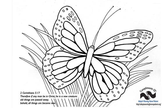 1000 Printable Coloring Pages for Teens and Adults Digital