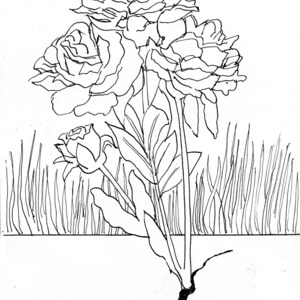 Grow Where You Are Planted Coloring Page By Ray Horner Jr. Instant Adult Coloring Page Digital Download JPEG Reminder of purpose