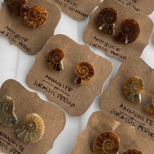 Ammonite Earrings