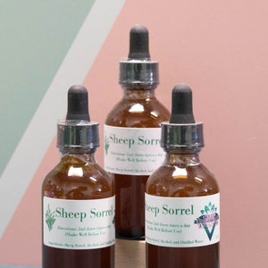 Sheep Sorrel