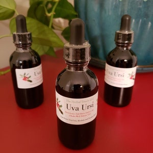 Uva Ursi
