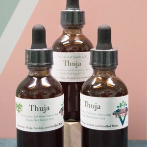 Thuja