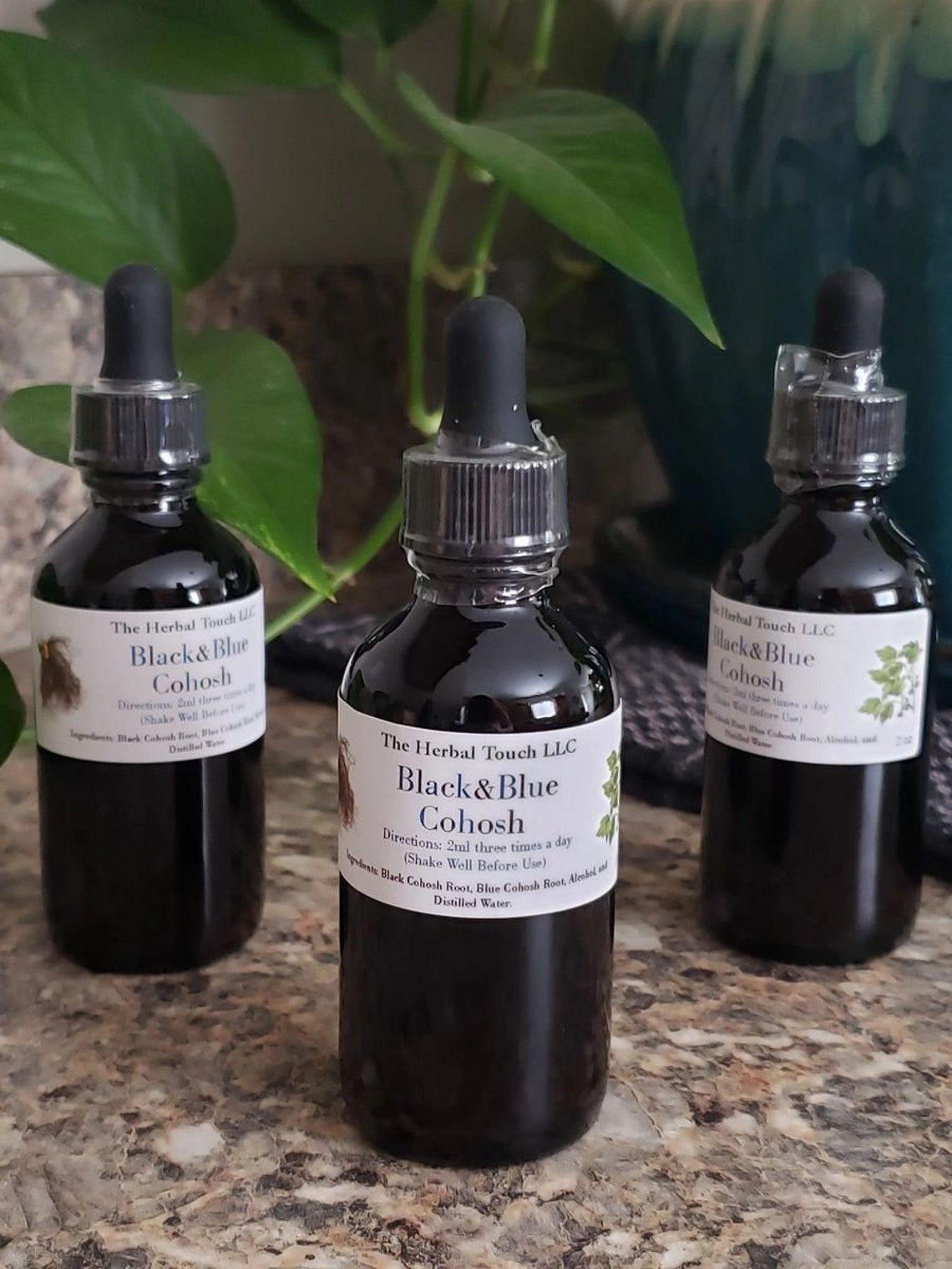 Black & Blue Cohosh Etsy