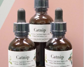 Catnip