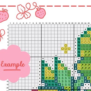May include: A cross-stitch pattern chart with a grid, featuring a strawberry design and the word "Example" in a pink bubble. The chart uses symbols and colors to guide the stitching process. Includes strawberry illustrations.