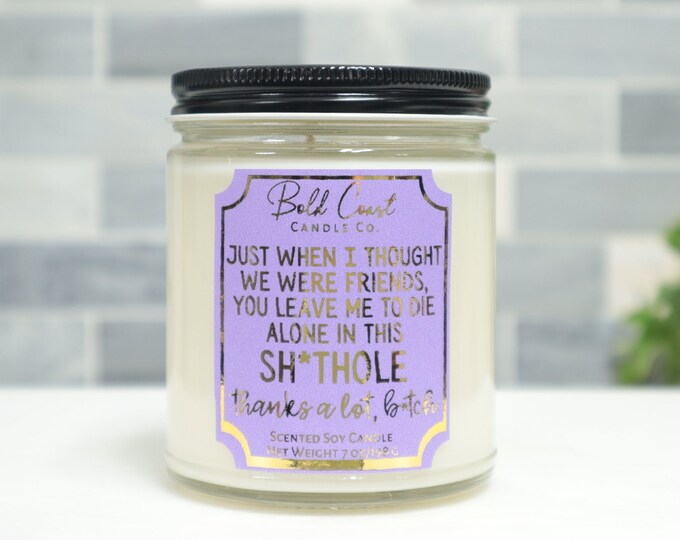 Just When I Thought We Were Friends 7oz Premium Soy Candle
