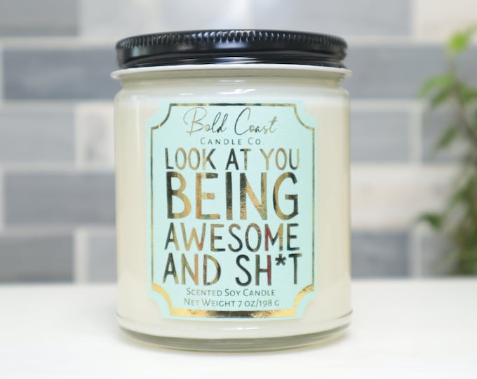 Look at You, Being Awesome and Sh*t 7oz Premium Soy Candle