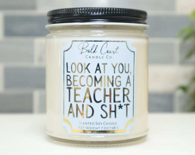 Look at You, Becoming a Teacher and Sh*t 7oz Premium Soy Candle