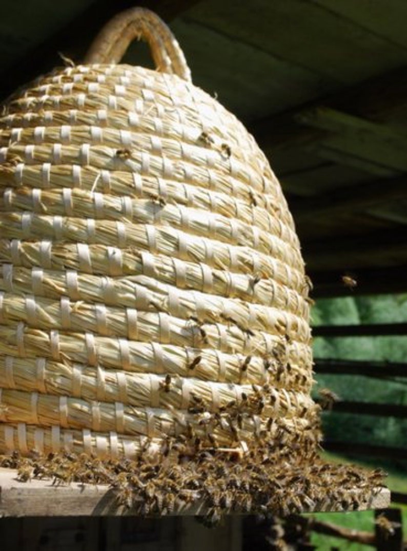New Straw Bee Skep Traditional Bee Skep Basket Height 37 Etsy