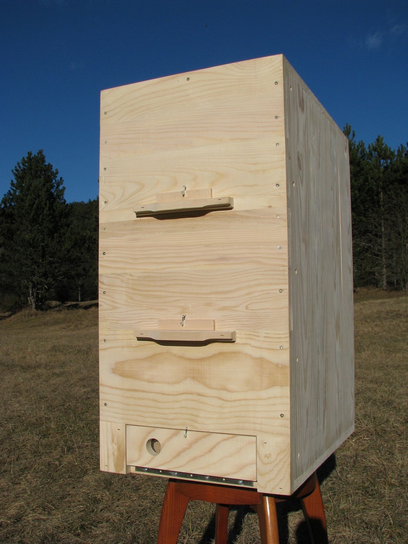 3 story with 2 Langstroth Slovenian AZ beehive 30-frames feeder