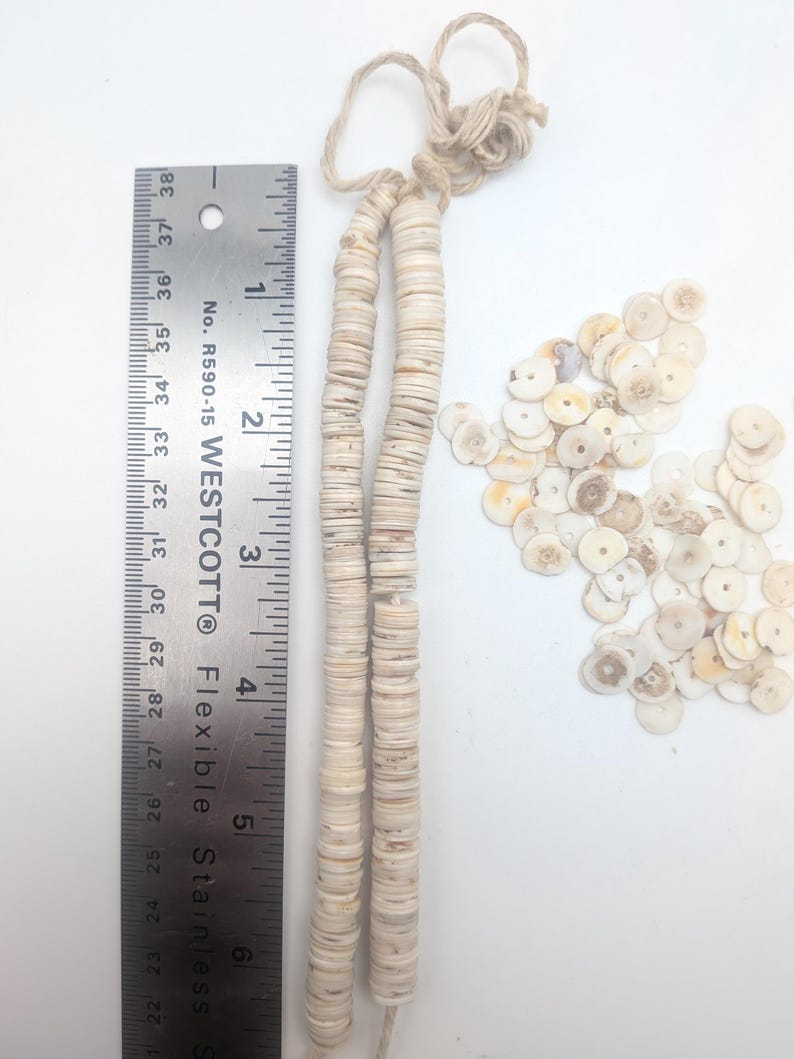 May include: Two strands of off-white shell beads, each approximately 36 inches long, are displayed next to a metal ruler. A pile of loose shell beads is also visible. The beads are round and have a natural, organic appearance.