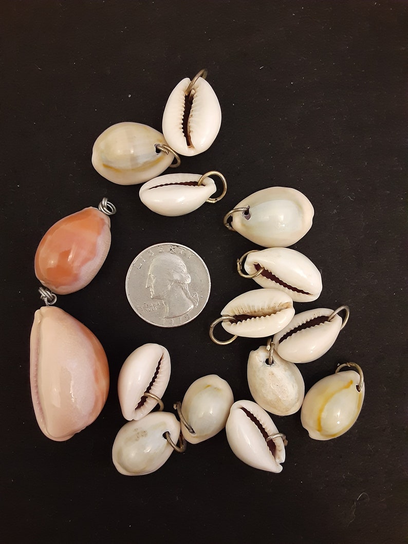 Vintage Cowry Shell Bead Lot of 15 Shell Beads SHL2 Etsy