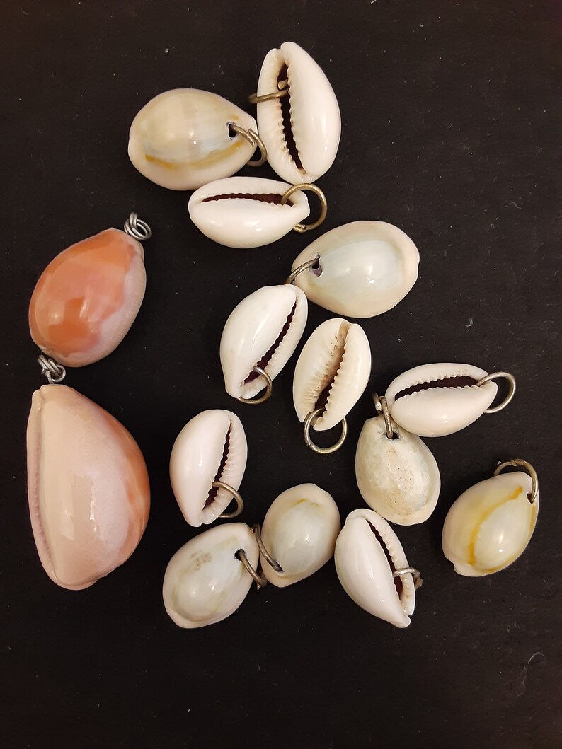 Vintage Cowry Shell Bead Lot of 15 Shell Beads SHL2 Etsy