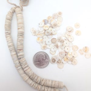 May include: A necklace and loose beads made of small, flat, off-white shell discs. The necklace is strung on a natural fiber cord. A U.S. quarter is included for size comparison. The beads have a natural, organic appearance.