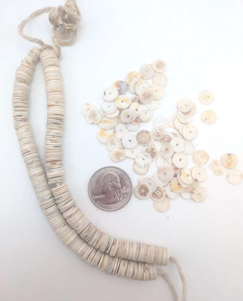 May include: A necklace and loose beads made of small, flat, off-white shell discs. The necklace is strung on a natural fiber cord. A U.S. quarter is included for size comparison. The beads have a natural, organic appearance.