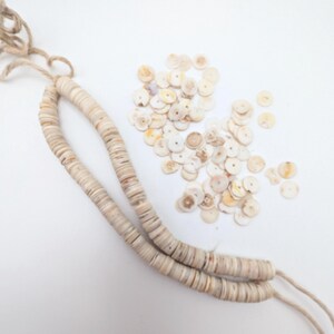 May include: A necklace made of small, flat, beige shell beads strung on a natural fiber cord. A pile of loose shell beads is scattered nearby. The beads have a natural, organic appearance, with variations in color and texture.