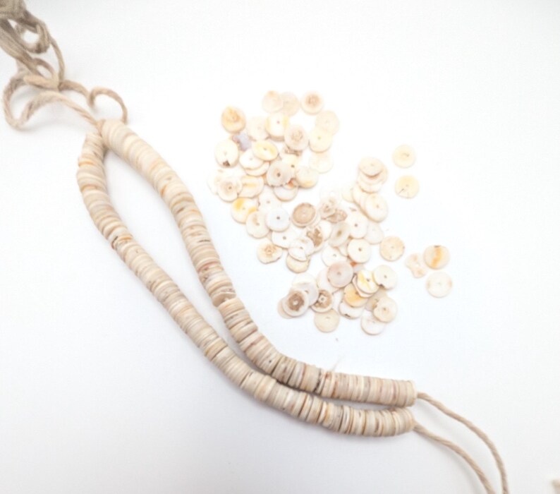 May include: A necklace made of small, round, beige shell beads strung on a natural fiber cord. A pile of loose shell beads is scattered nearby. The background is white.