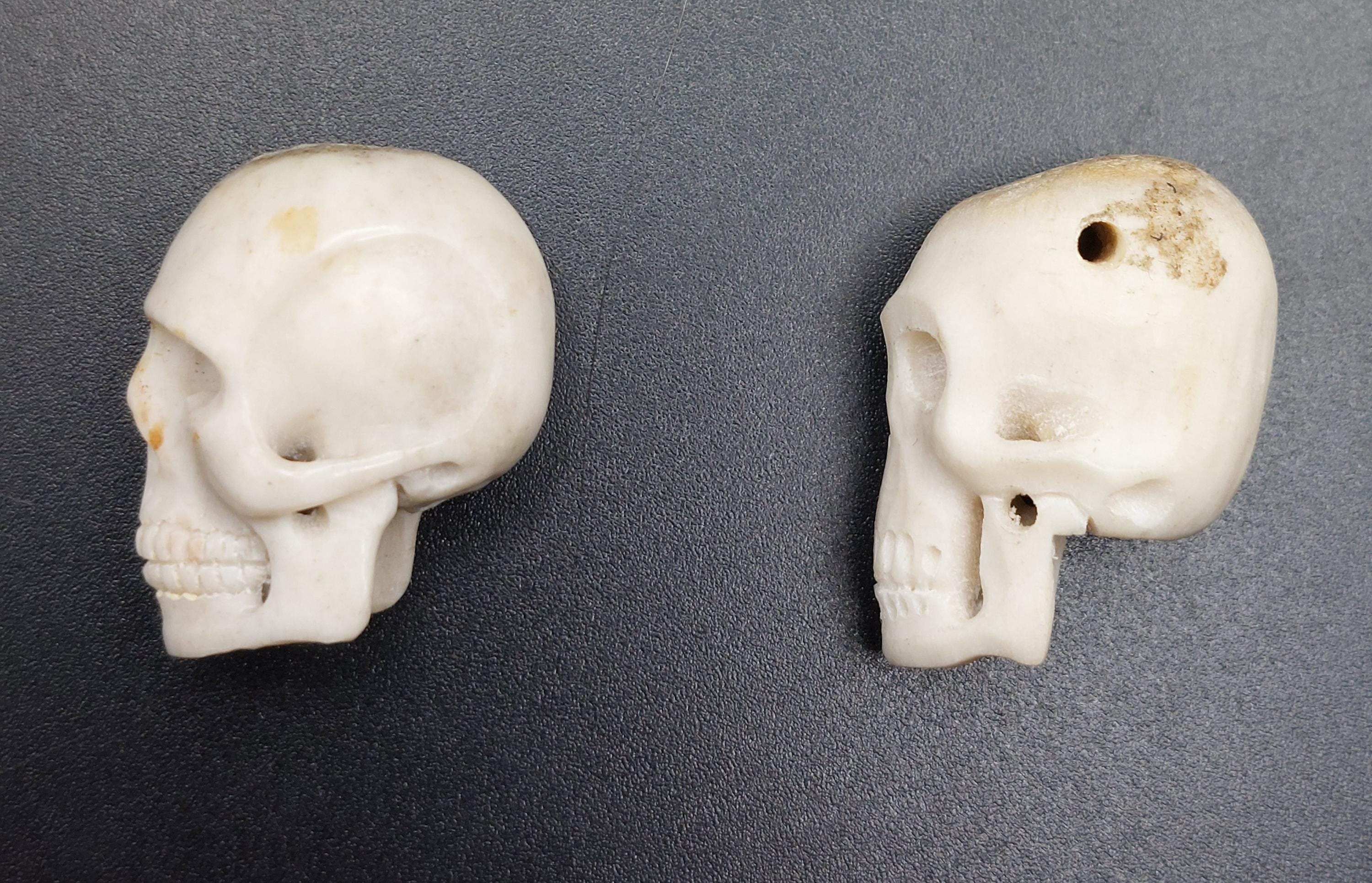 ヴィンテージの手彫り牛骨の頭蓋骨 x1 - Etsy 日本