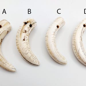 Puede incluir: Cuatro colgantes de dientes de animales de color marfil con un agujero perforado en la parte superior. Los dientes son curvos y tienen una textura natural ligeramente rugosa. Los colgantes están etiquetados como A, B, C y D.