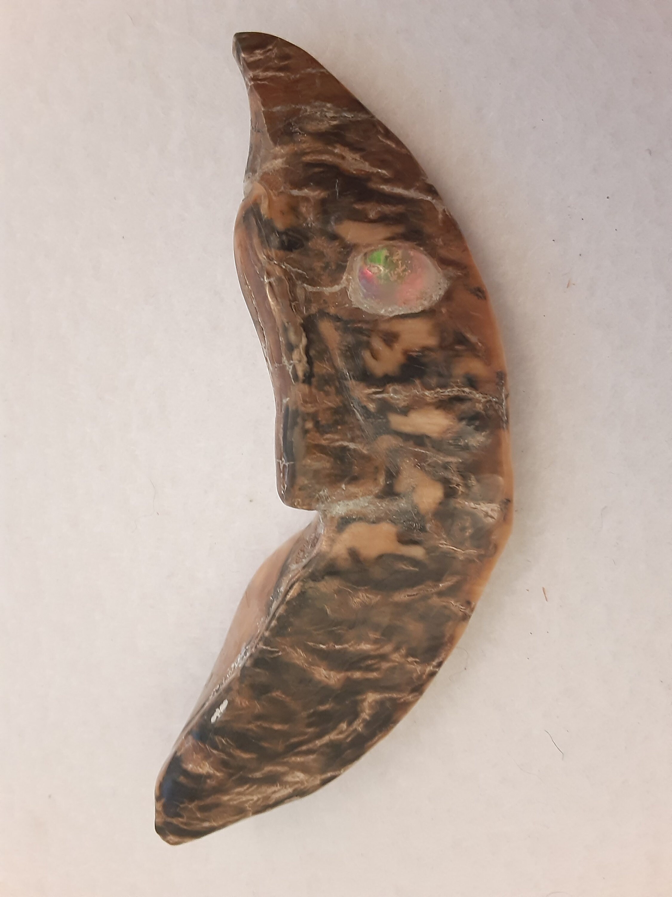 Carved Walrus Tusk for sale | Only 2 left at -70%