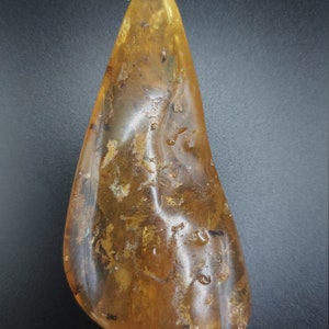 Real Authentic Yellow Amber w/ Ancient Insect Inclusions - NOT Drilled