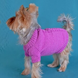 matching dog clothes