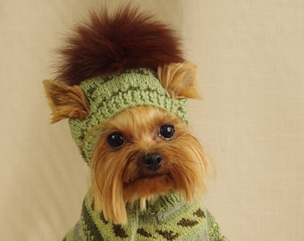Clothing set for Small Dog, sweater and cup green color, SIze XS, Puppy sweater, Clothes for Yorkshire Terrier, coat pet,  puppy Outfit