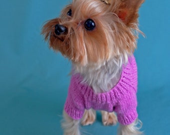 Pet clothes, knit socks and sweater set for small dog , Puppy clothing, Yorkshire Terrier Clothes , coat pet  jumper puppy XS size , Outfit